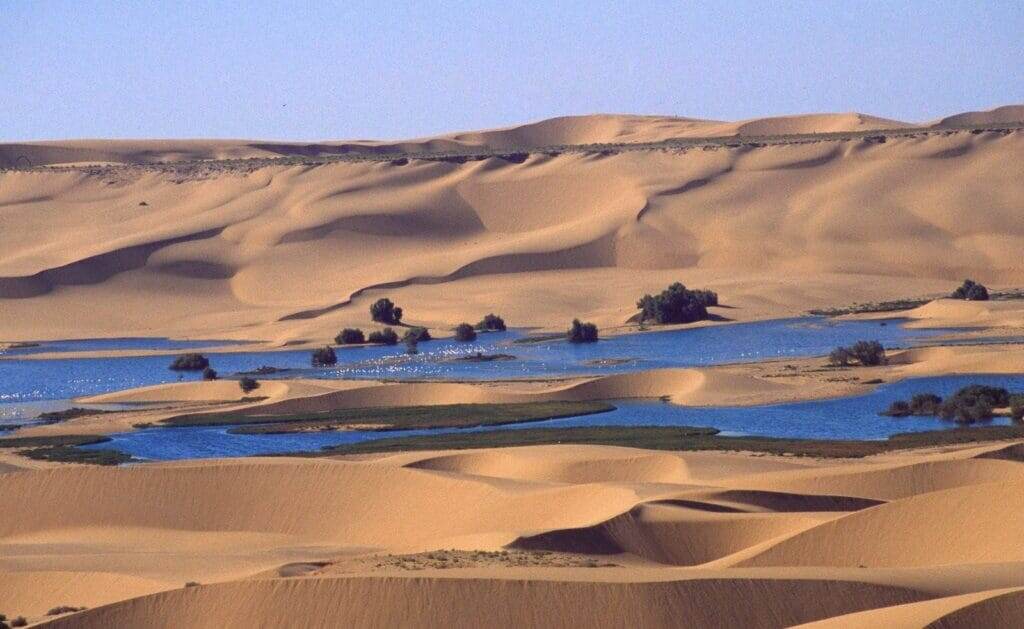    Иммиграция в Западную Сахару: Сервис иммиграции