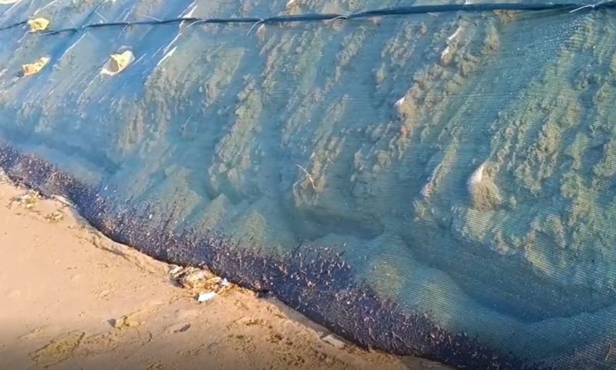    Скриншот видео t.me/opershtab23