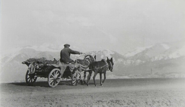 Б. Михалевкин - "Коммунизм не за горами"