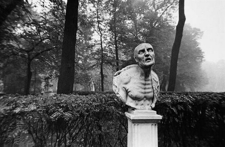 Б. Смелов - "Сенека"