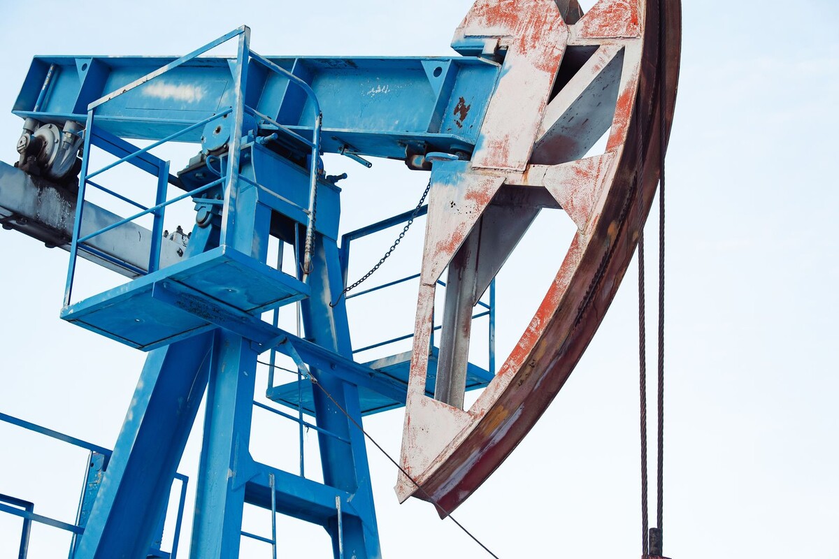     / Источник: © Global Look Press