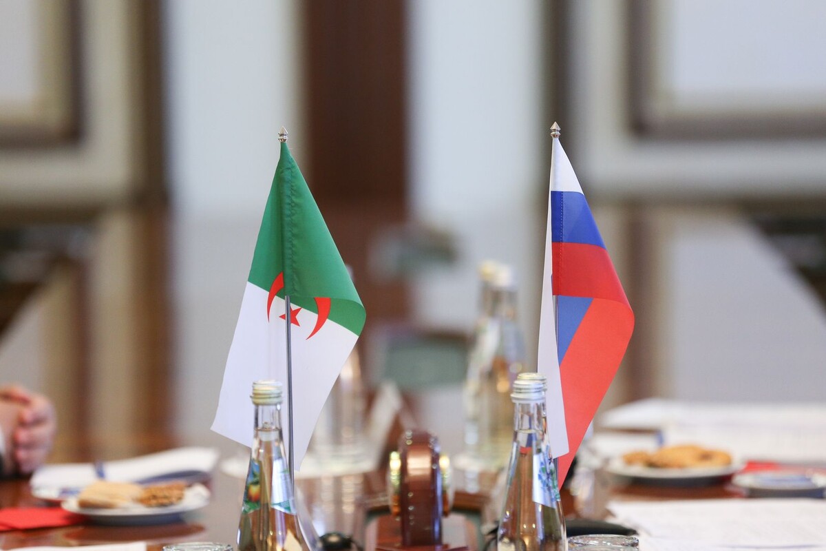     / Источник: © Global Look Press