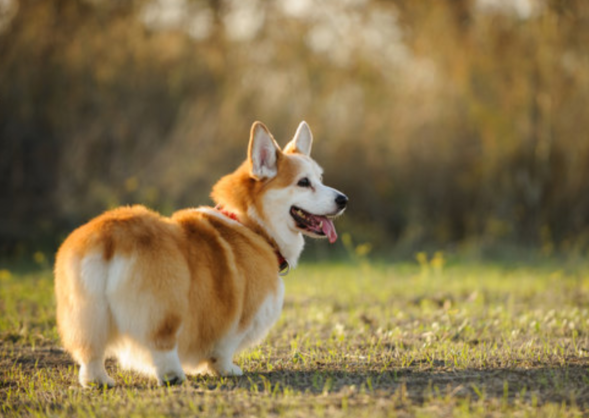 Фото носит иллюстративный характер: открытые источники