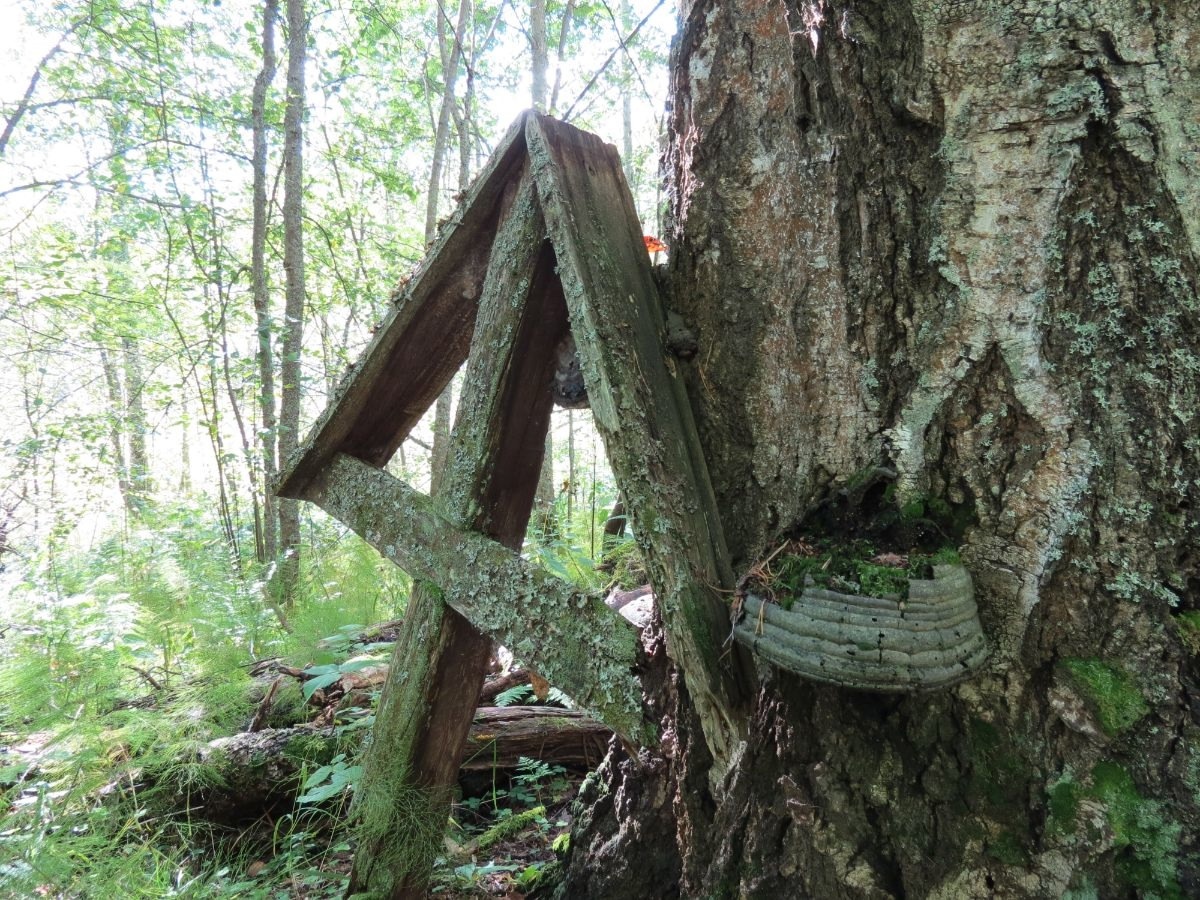    Фото: Юлия Литвин