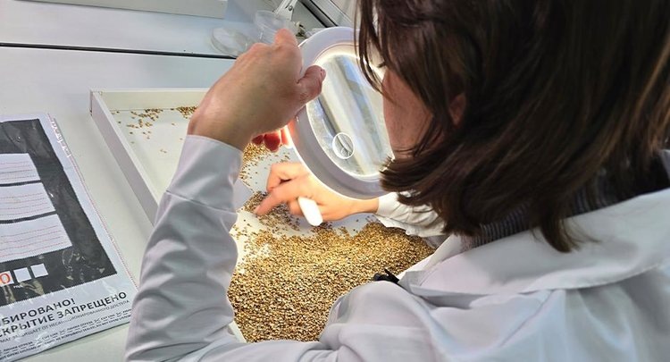    Крымский АПК развивается с акцентом на качество и безопасность сельхозпродукции