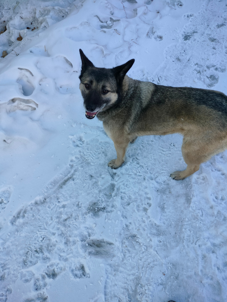 Набегалась, пришла домой. Надо есть