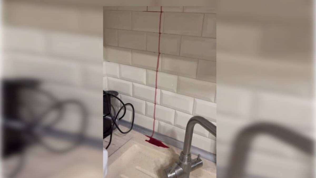    Фото: Скриншот Baza