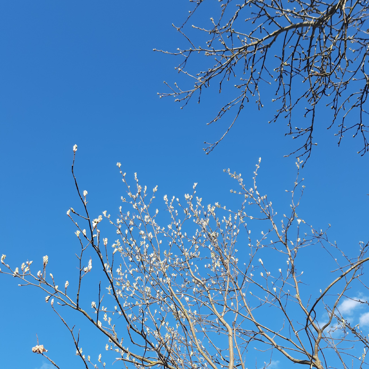 Фото от автора