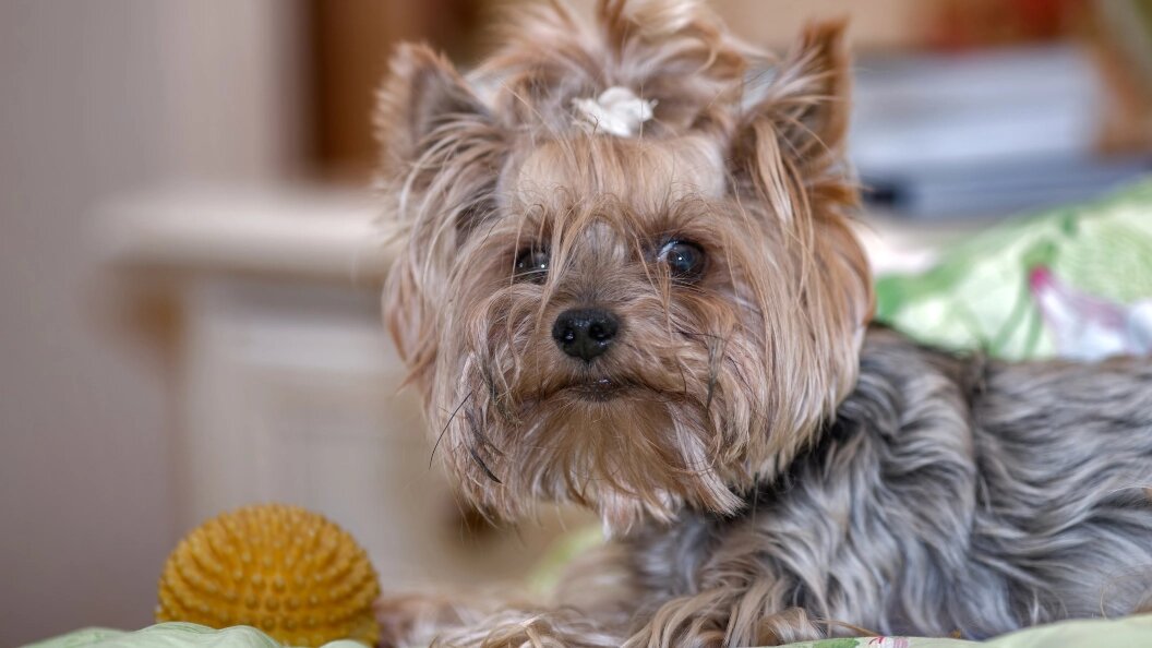    Alexander Novikov/Global Look Press