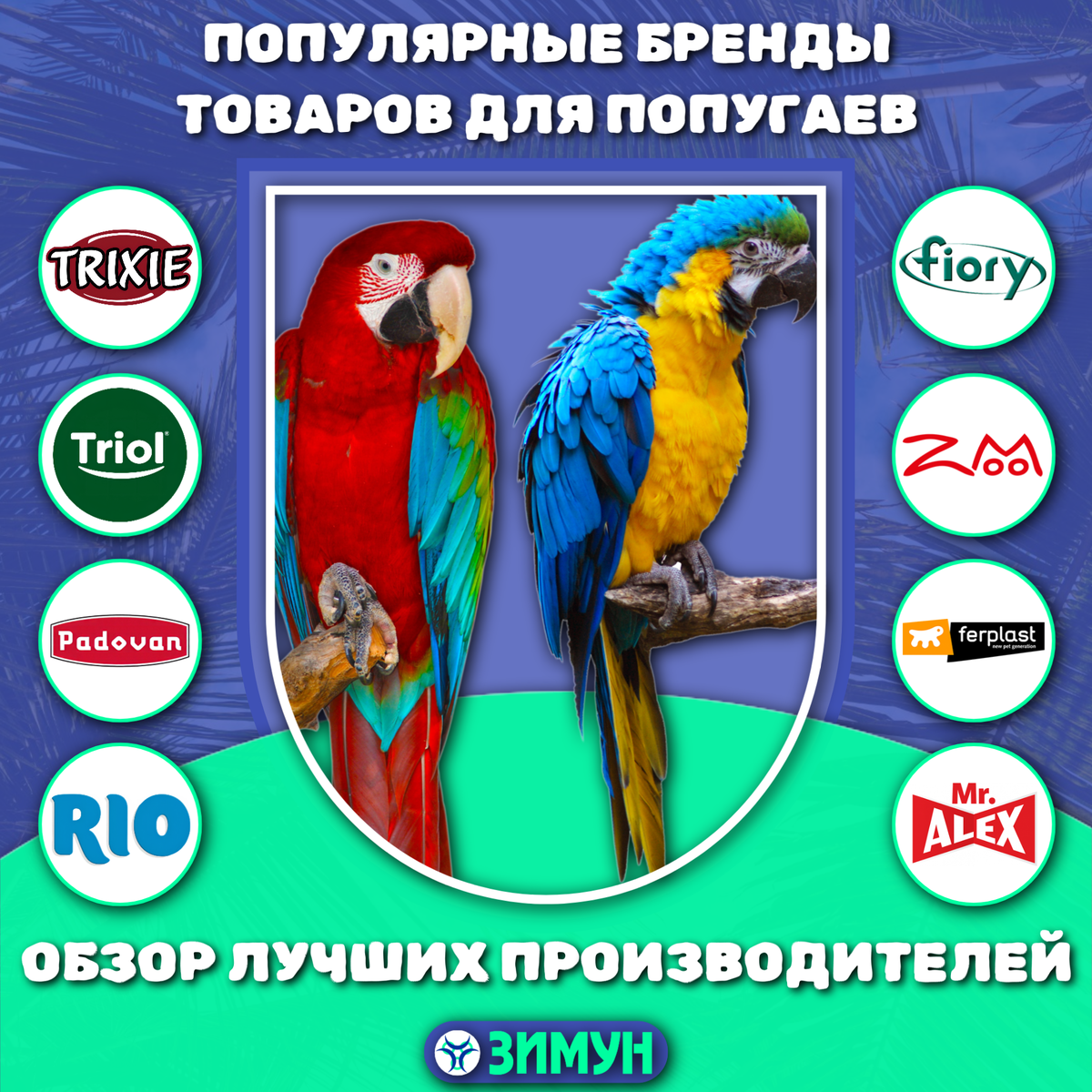 Заставка с попугаями и брендами на фоне