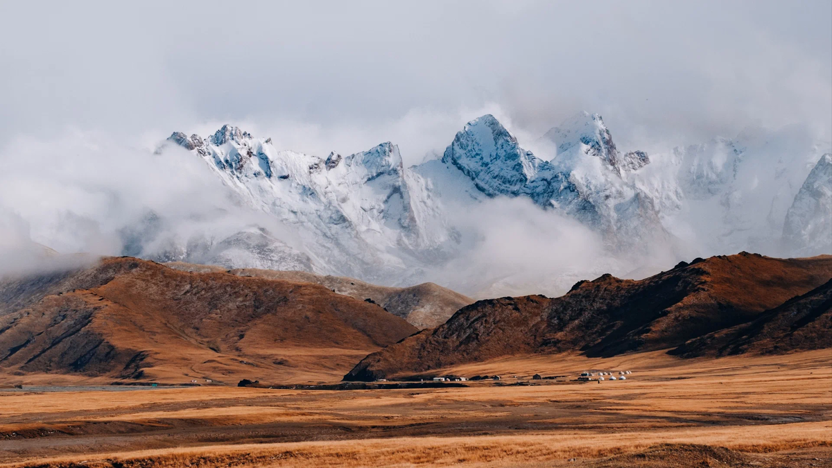 Общедоступная программа гражданства превратилась в эксклюзивную и может закрыться совсем.