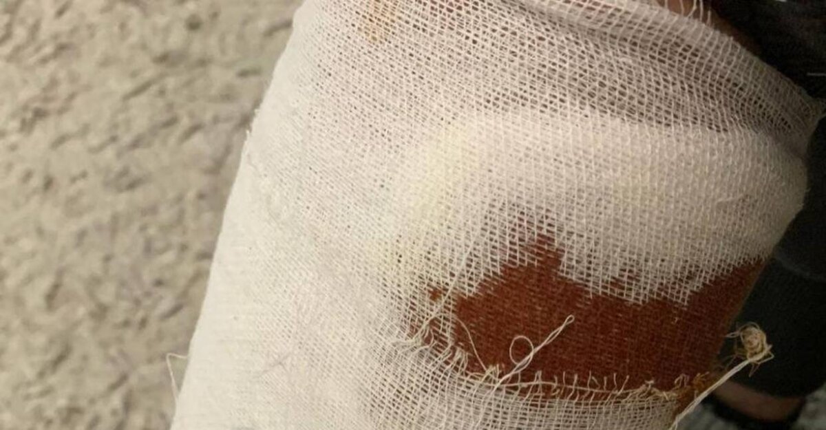 Фото: Большая Кубань