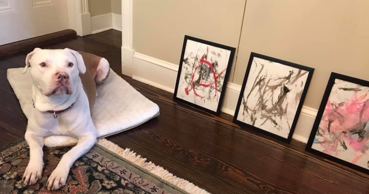 Собака, которая стала художником: история Рико