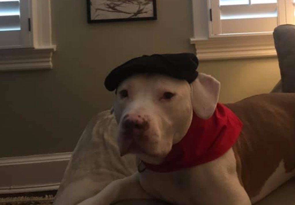 Рико получил прозвище Рикассо, 