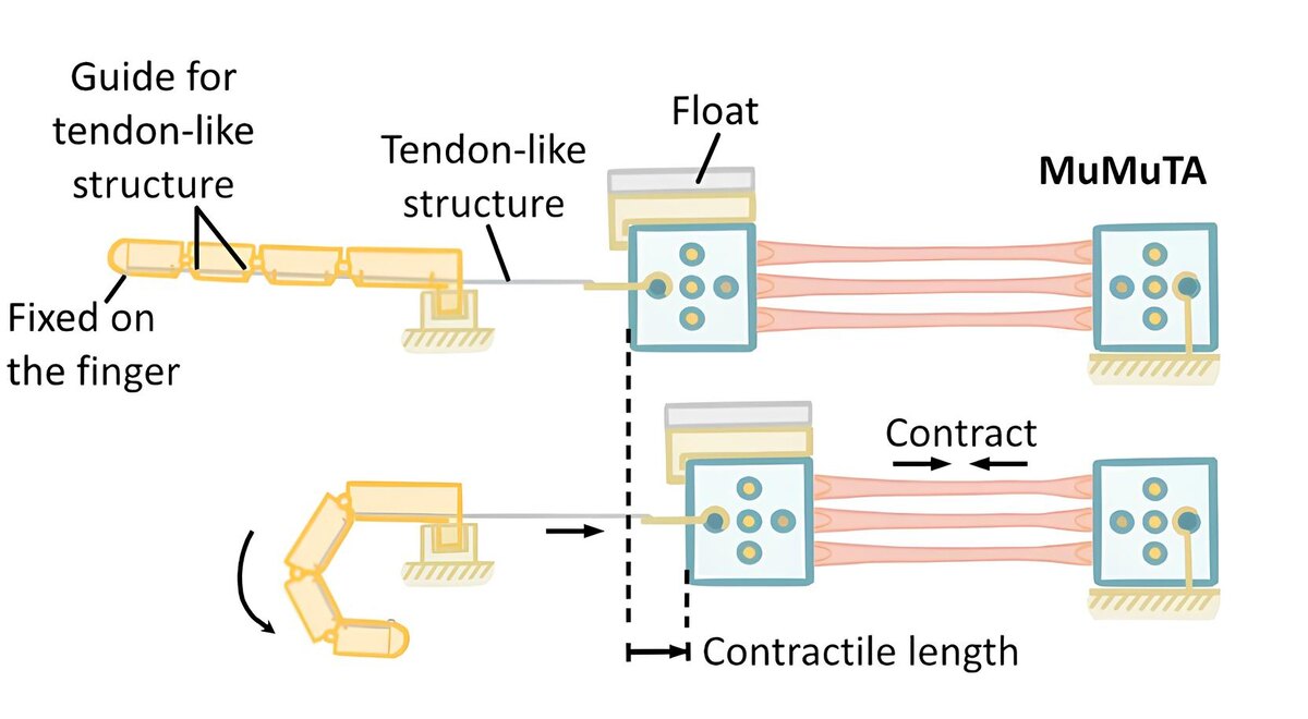 Фото: Университет Токио