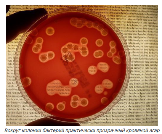 изображение с сайта probolezny.ru