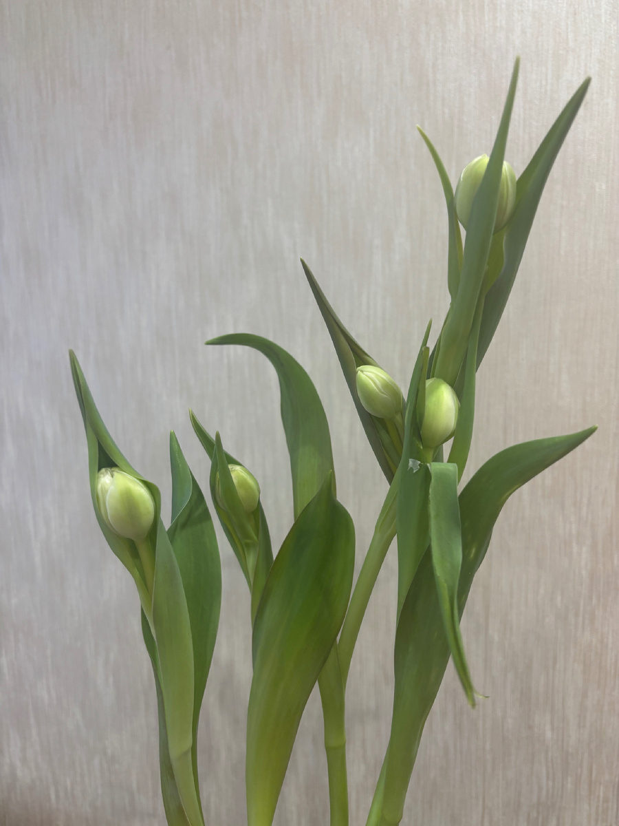 Вот такие, все разные. 