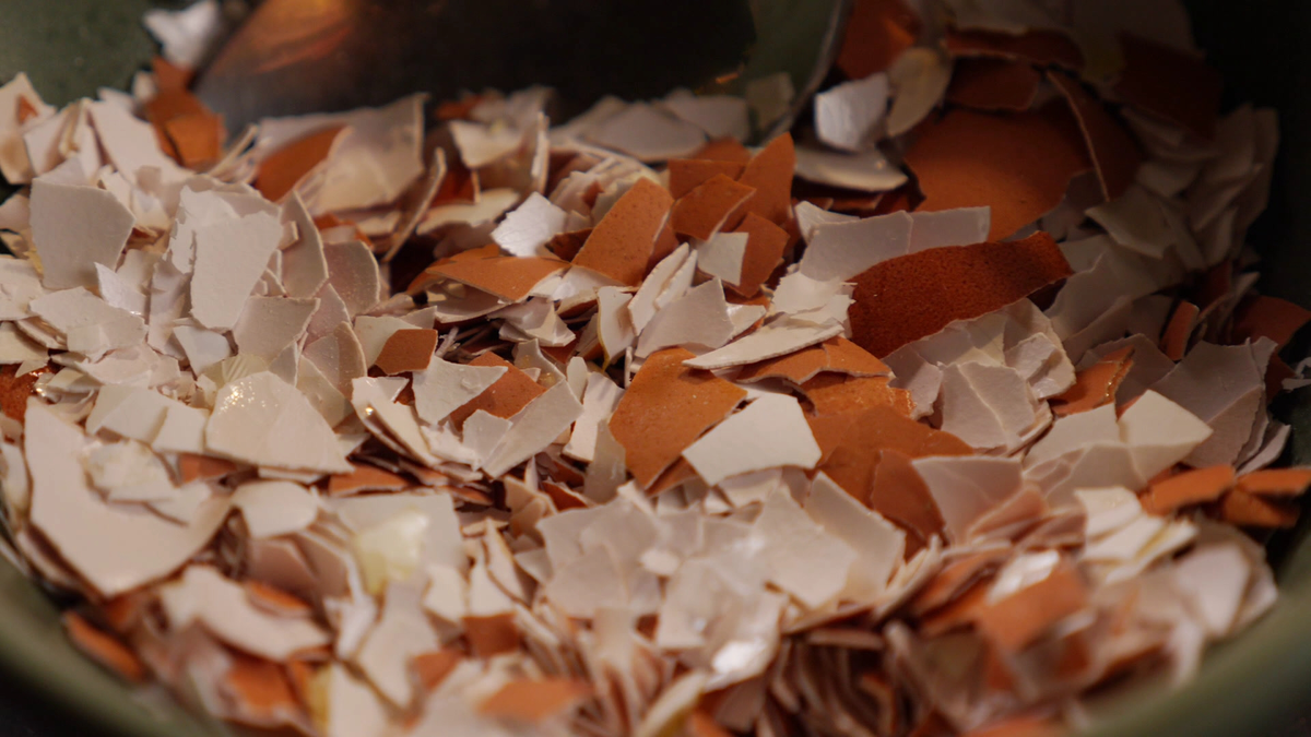 Яичная скорлупа не приносит ощутимой пользы для комнатных растений