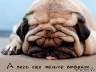 Фото из интернета.