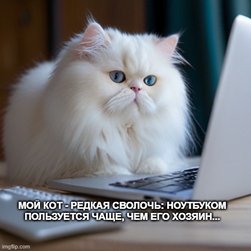 Кот, сидящий за клавиатур ноууутбука