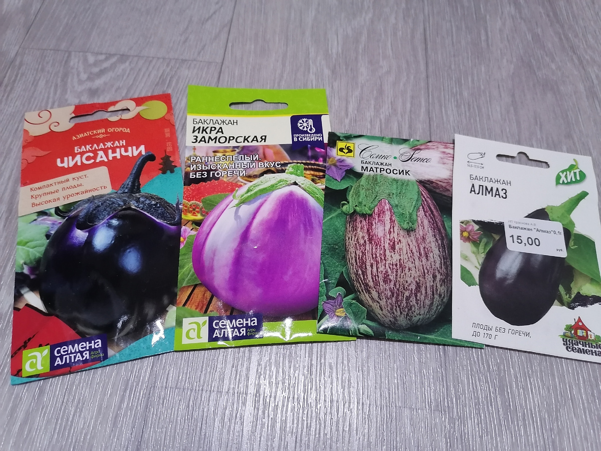 Мои семена баклажанов в 2025 году