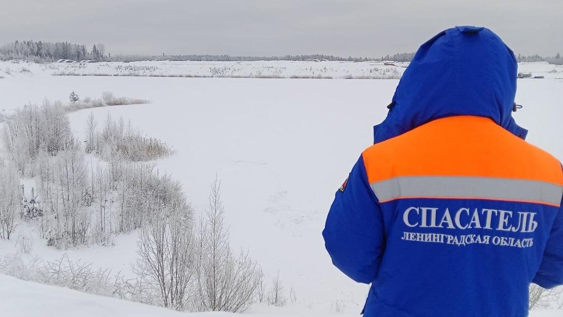    Фото: vk.com/acclo