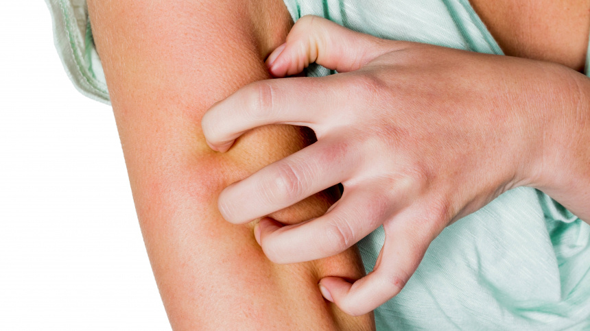    Фото: www.globallookpress.com/IMAGO/Zoonar.com/Erwin Wodicka