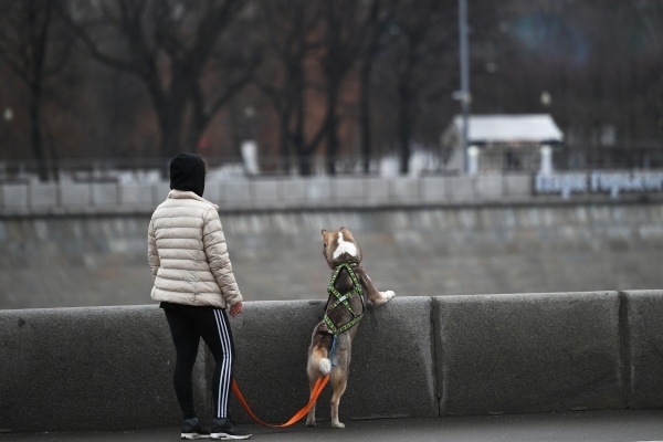 Фото: РИА Новости/Максим Блинов