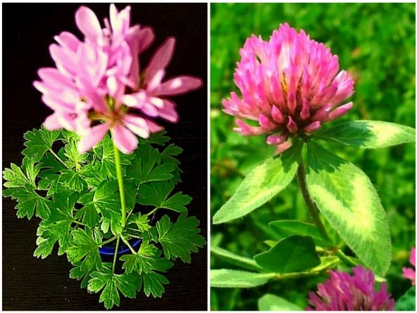 Угадайте, кто есть кто  😍