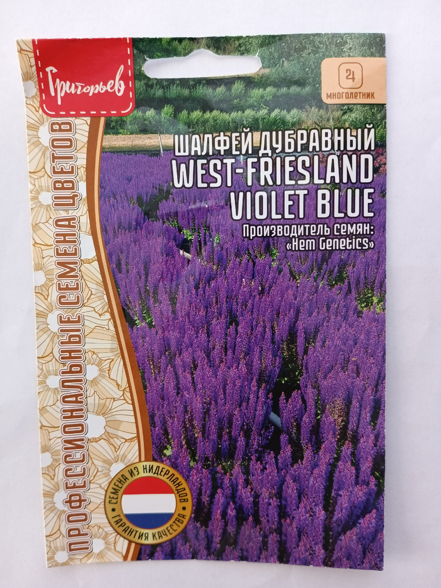 Шалфей дубравный