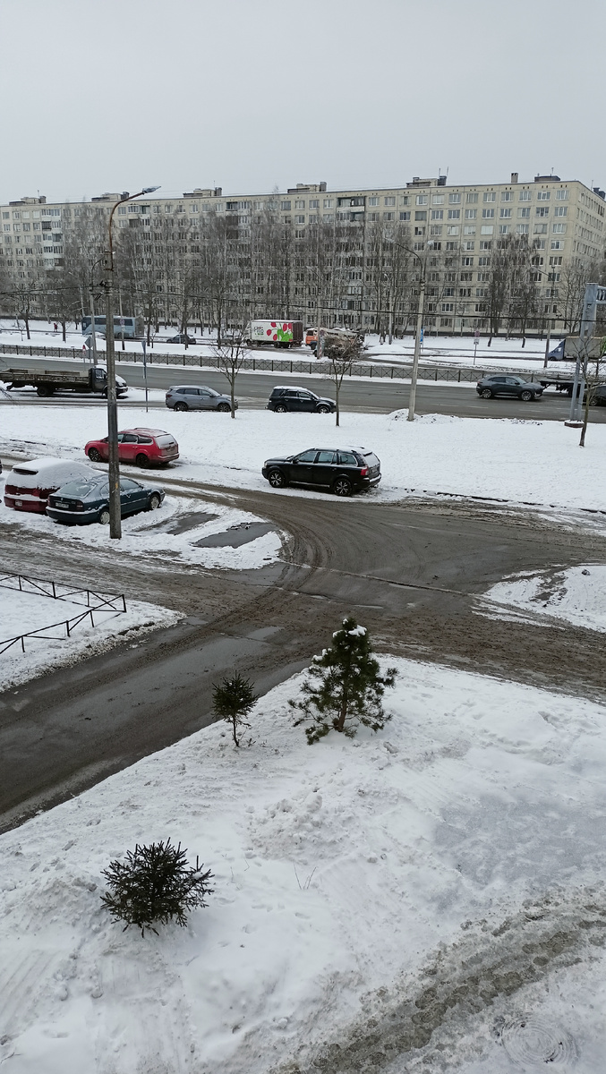 Фото автора. 16,30. СПб.