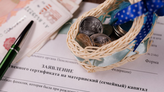    Госдума продлила программу материнского капитала до конца 2030 года Роман Захаров