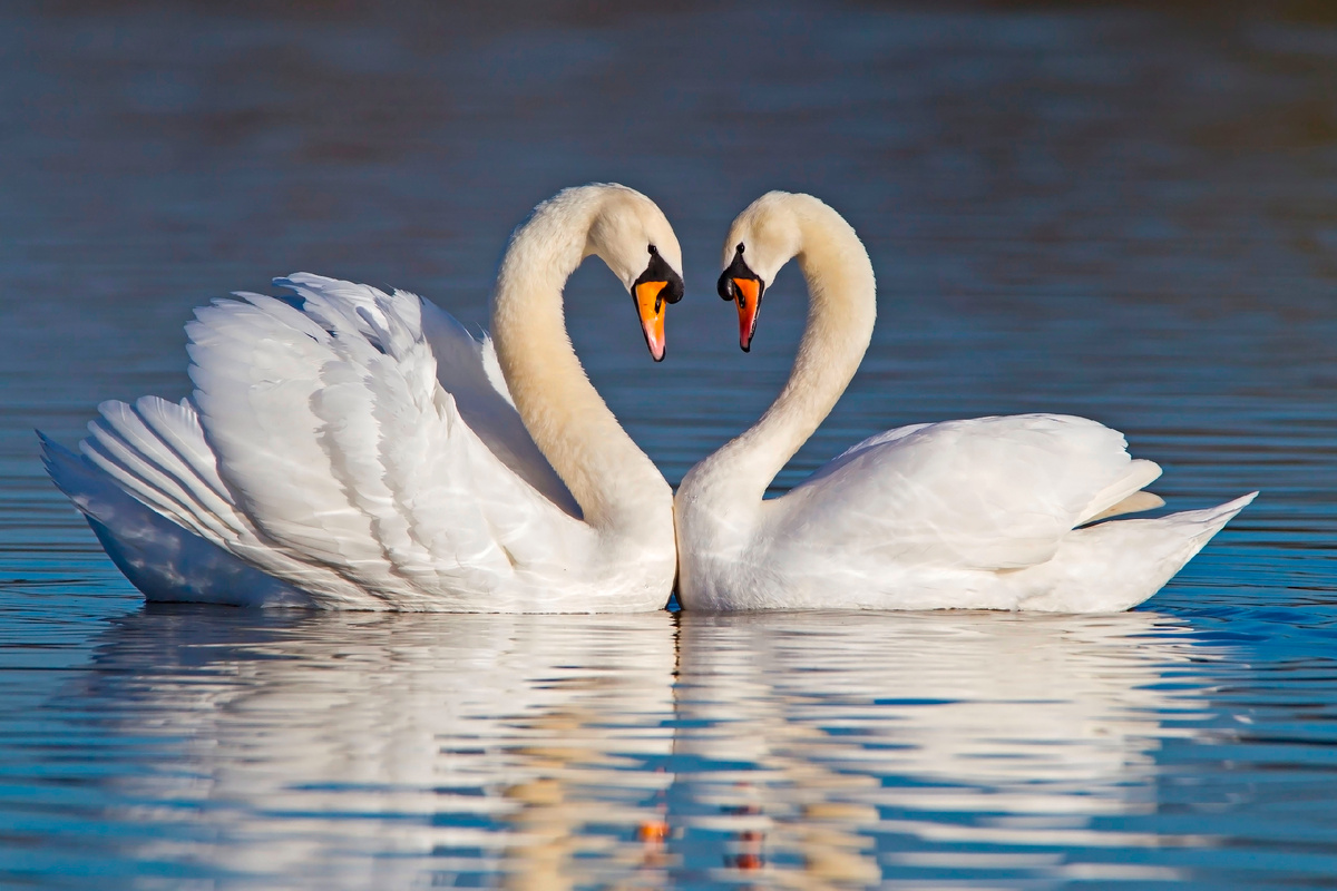 Фото с просторов интернета. Фотокоррекция автора статьи.
