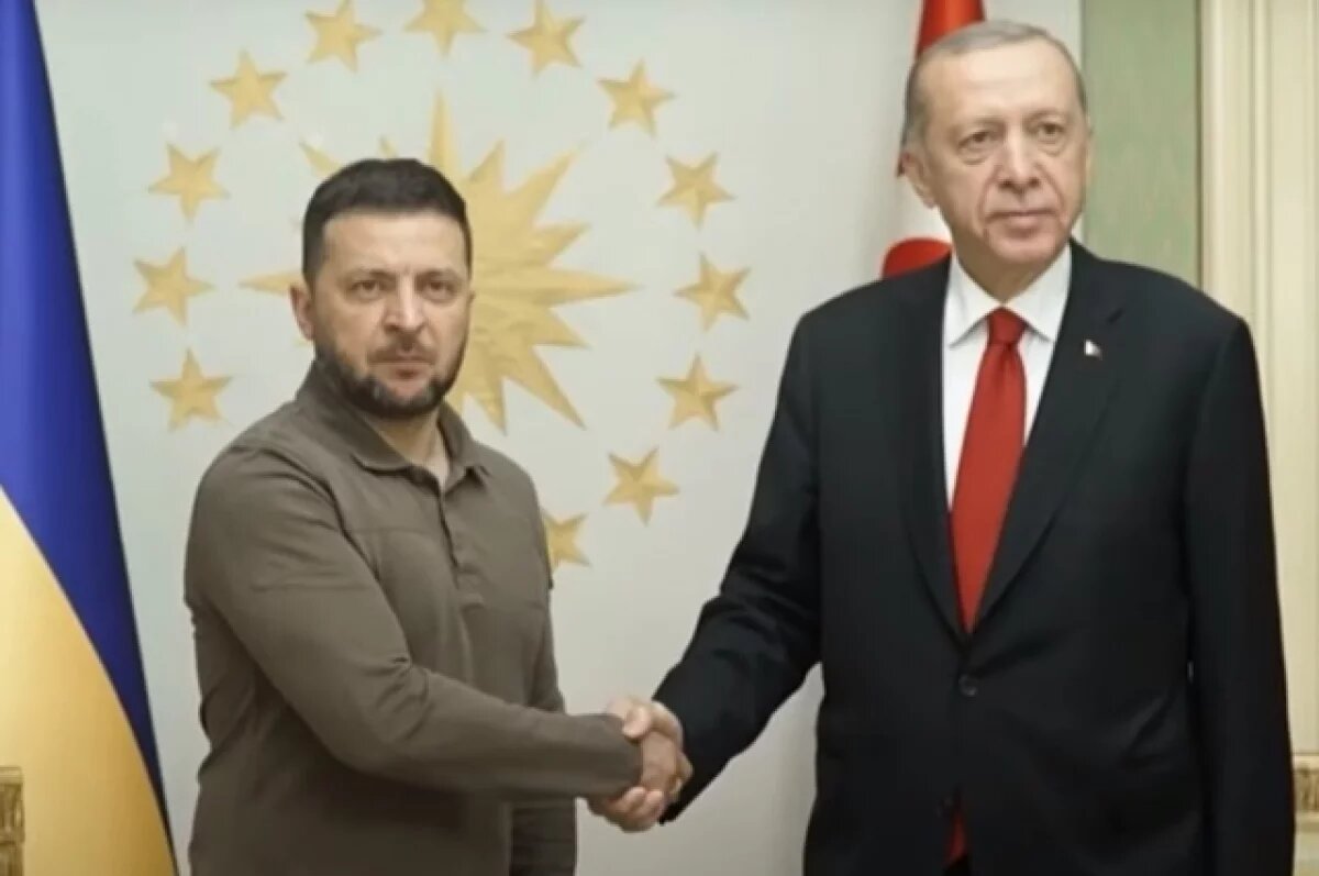    Эрдоган начал переговоры с Зеленским по урегулированию конфликта на Украине