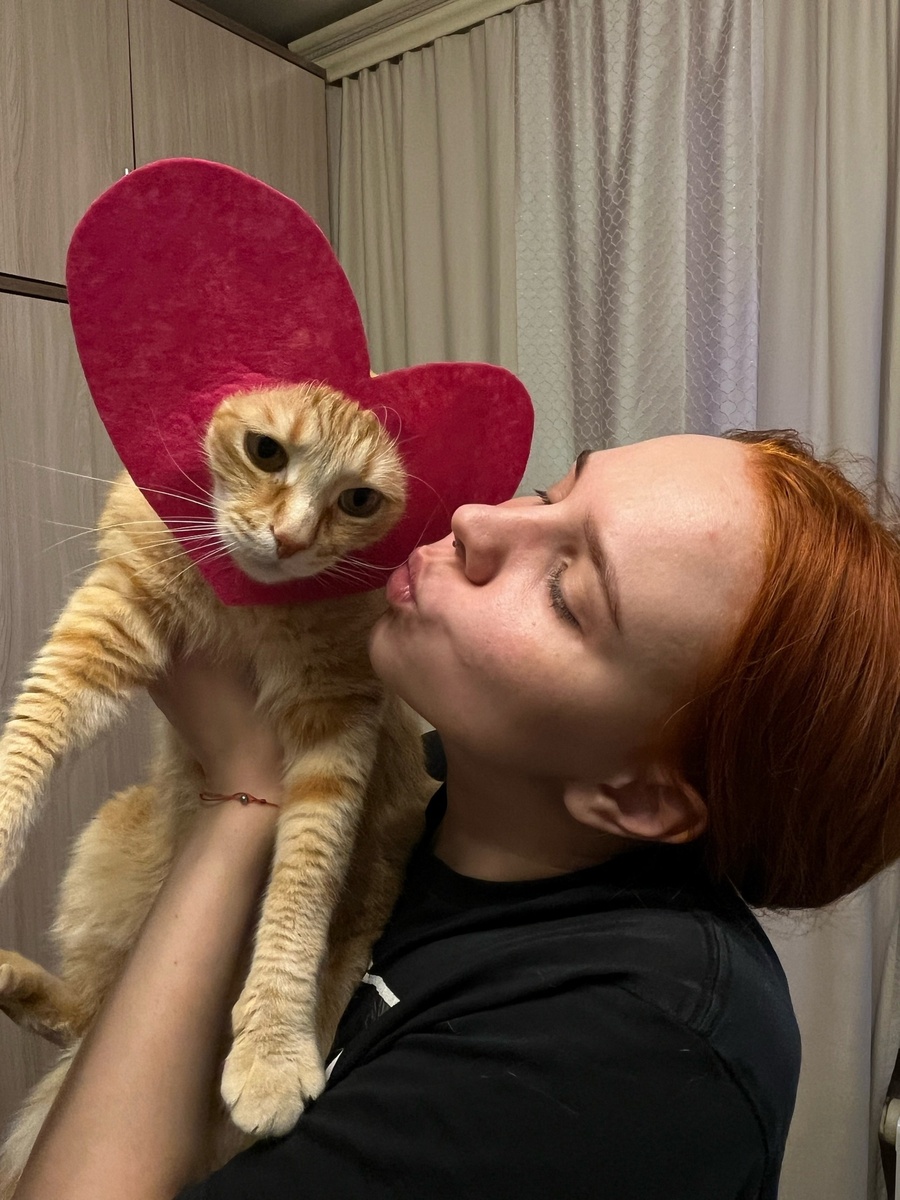 Даже котики не всем нравятся.