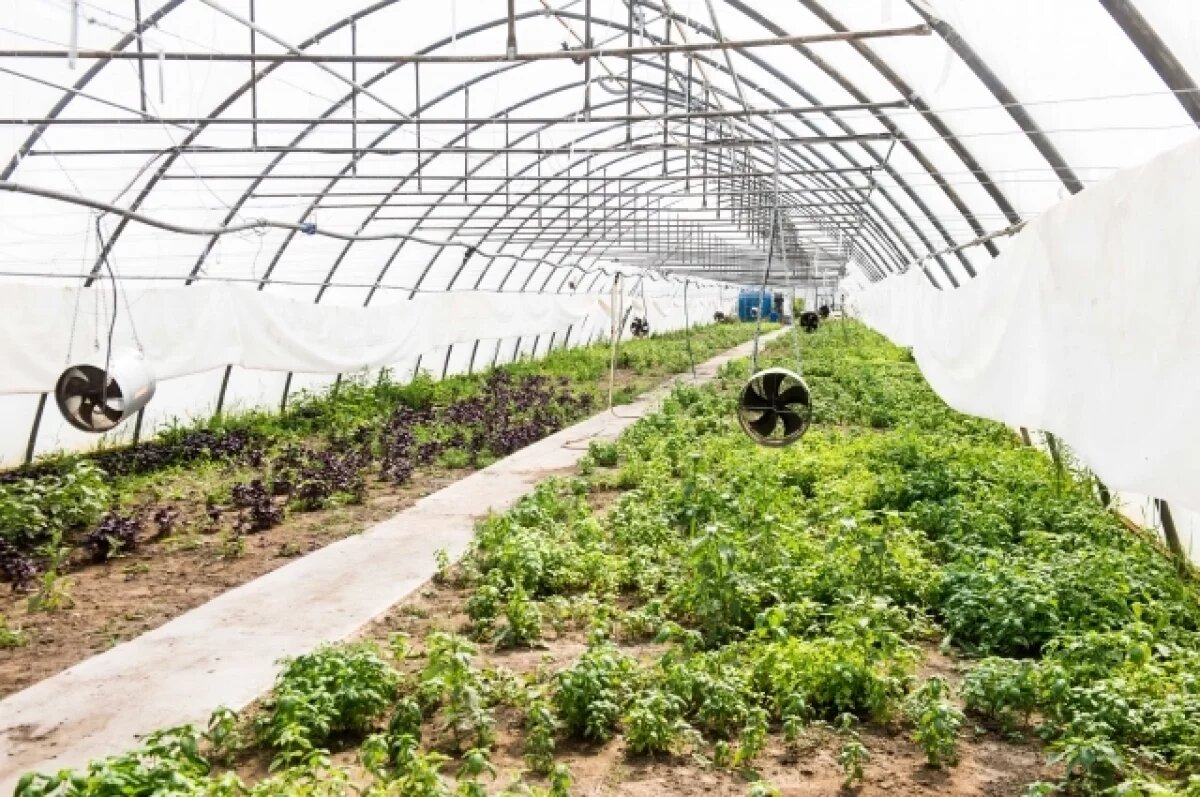    Вкус природы.