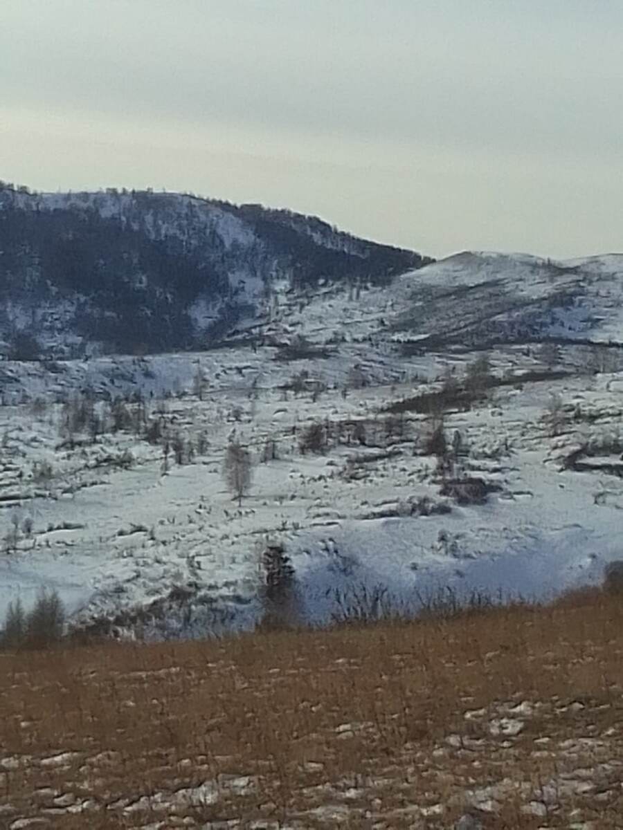 Весна близко. 