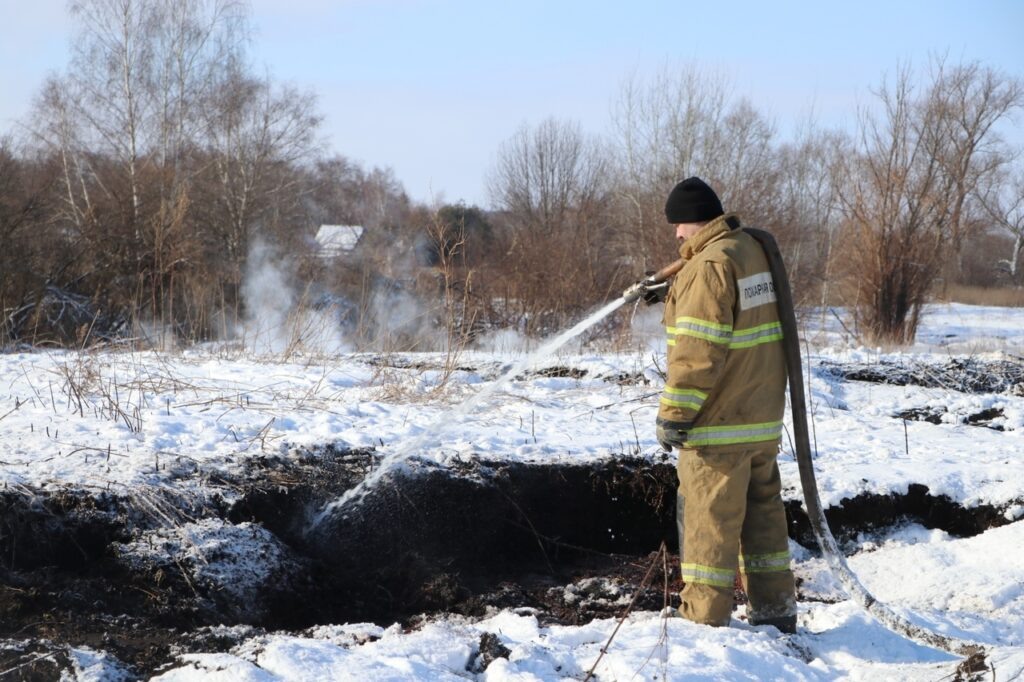   Фото: Михаил Ромодин