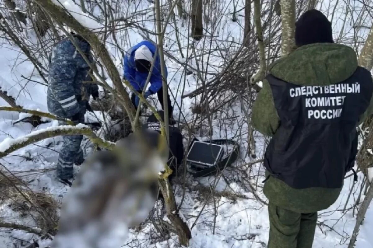    Появились подробности о найденной под Гатчиной девушке с дырой в подбородке