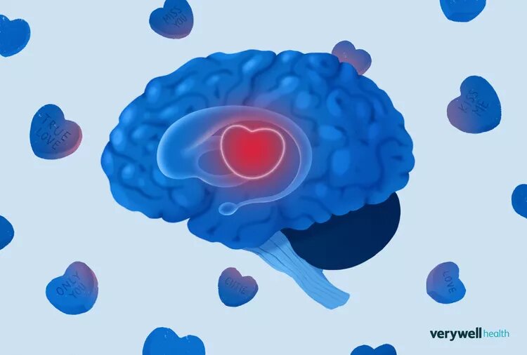    Illustration by Julie Bang for Verywell Health