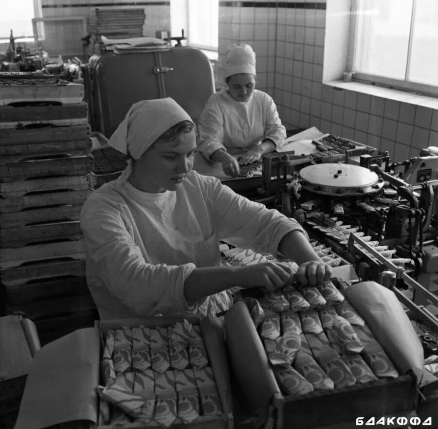    Фото: "Коммунарка"