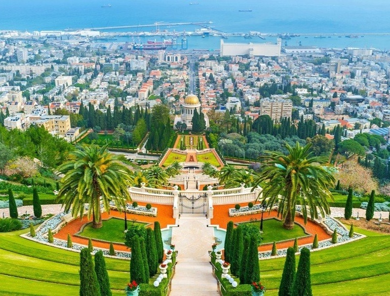 Из открытых источников в интернете.