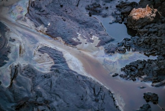    Сергей Лантюхов/NEWS.ru