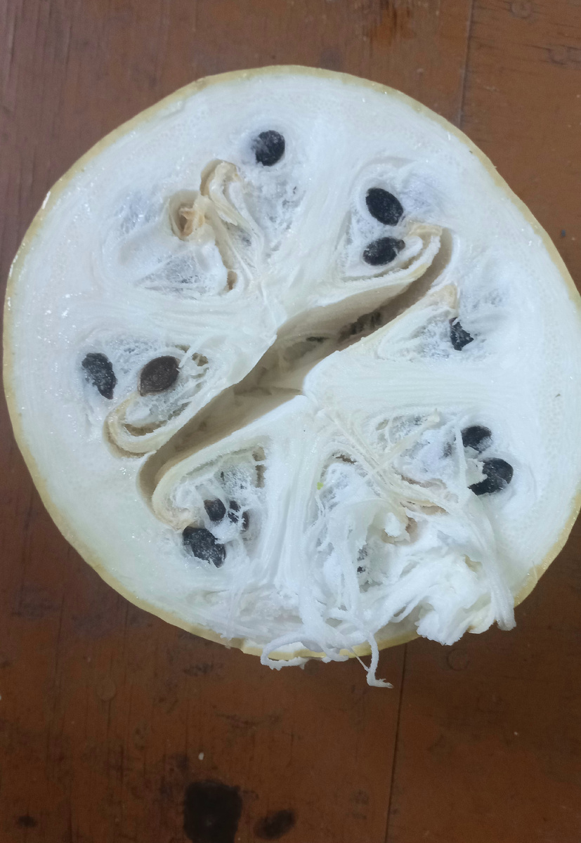 Корка толстая и жёсткая, но ножом разрезали. Хотя хотелось взять топор