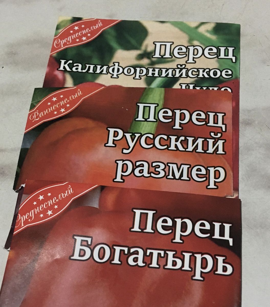 А разве русский размер может быть раннеспелым?