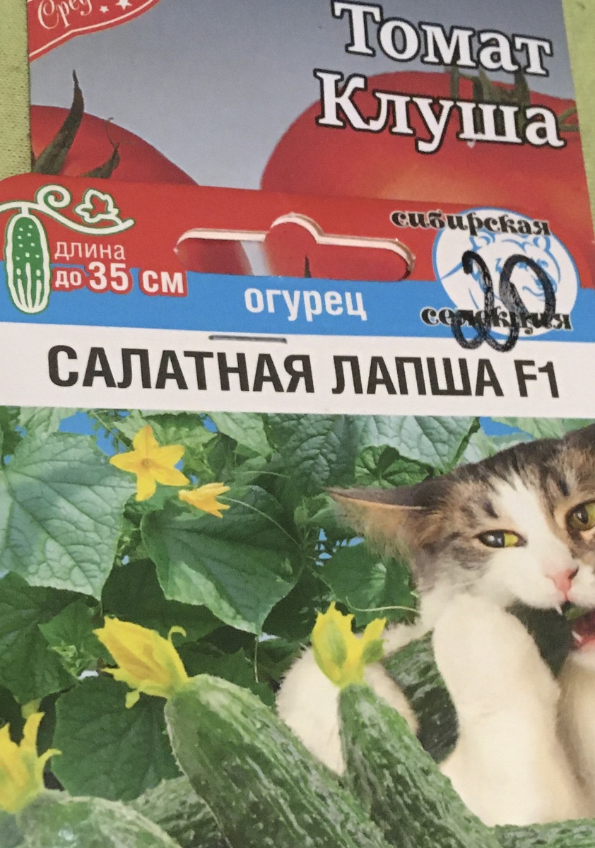 Что это за огурец такой, не знаю