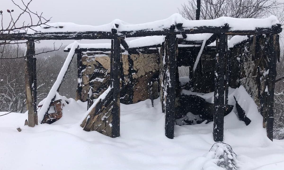    Фото t.me/tuapsevesti/7633