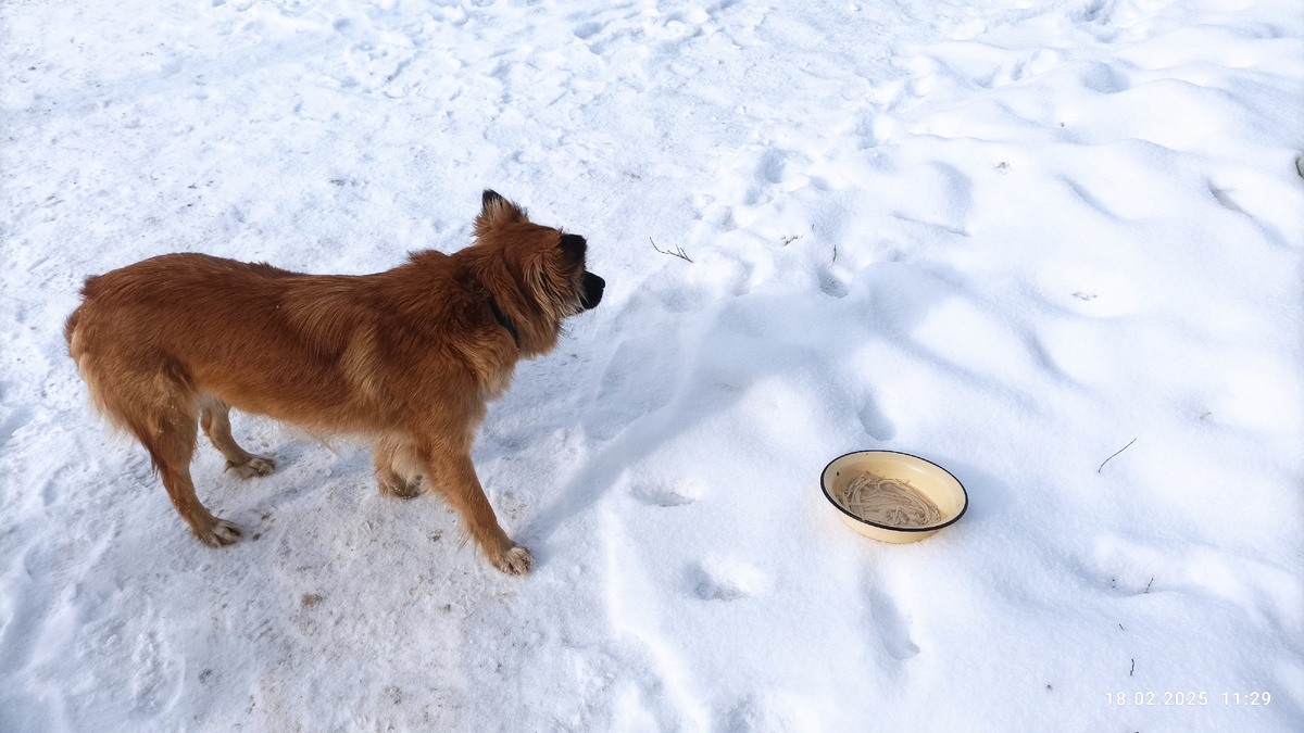 Марфа и чашка супа. Суп она не дрела. 