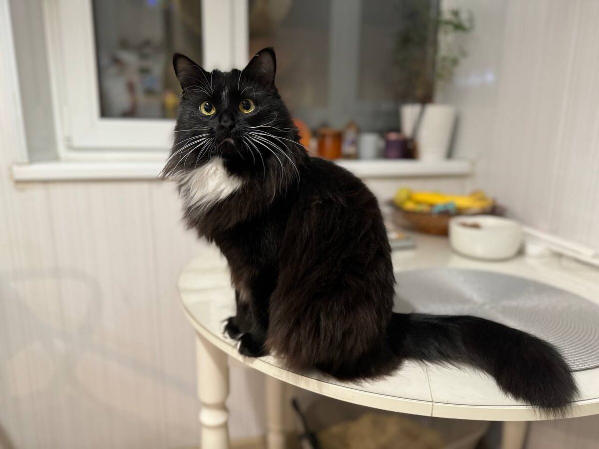 Да уж раздайте побыстрее! Долго мне еще на чемоданах-то сидеть?