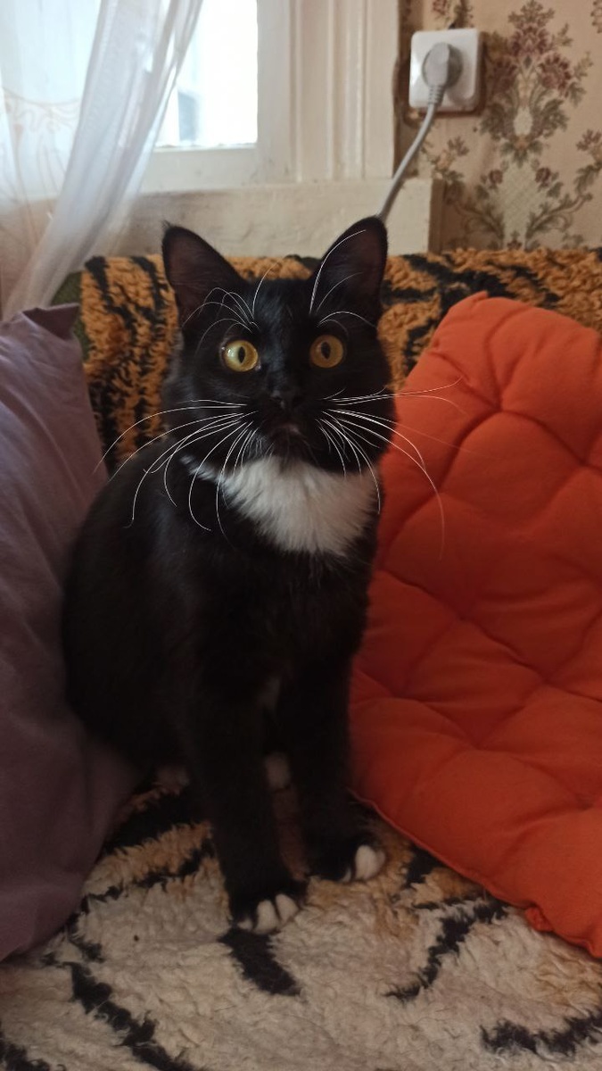 Таскали меня ироды туда-сюда